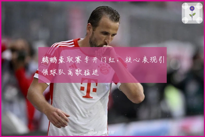 鹈鹕豪取赛季开门红，核心表现引领球队高歌猛进